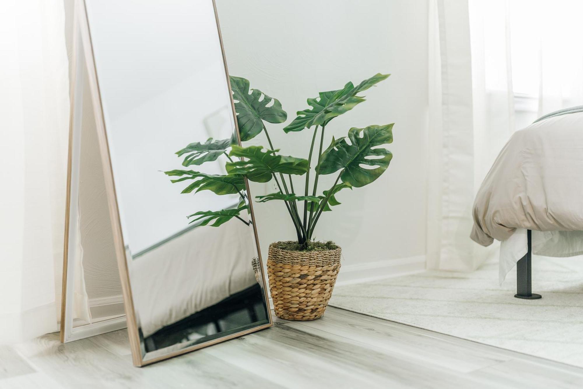 Tranquil Luxury: Modern Comfort! Lynchburg Ngoại thất bức ảnh